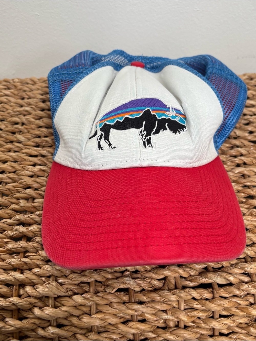 Patagonia Fitz Roy Bison Trucker Hat